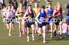 Senior mens 2025 UK CAU Inter Counties Cross Country Champs., Wollaton Park, Nottingham. Photo: David T. Hewitson/Sports for All Pics